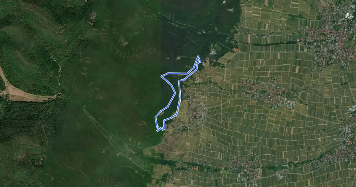 Маршрут Theresienweg Rhodt на спутниковом снимке