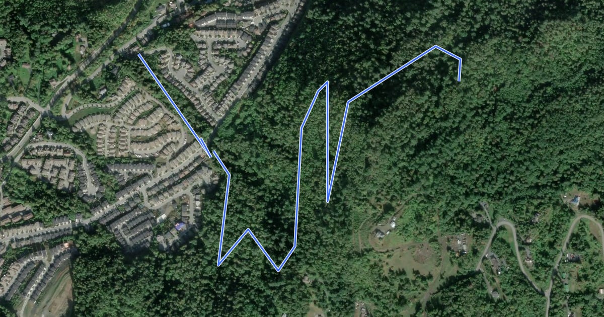 Маршрут Thom Creek Trail на спутниковом снимке