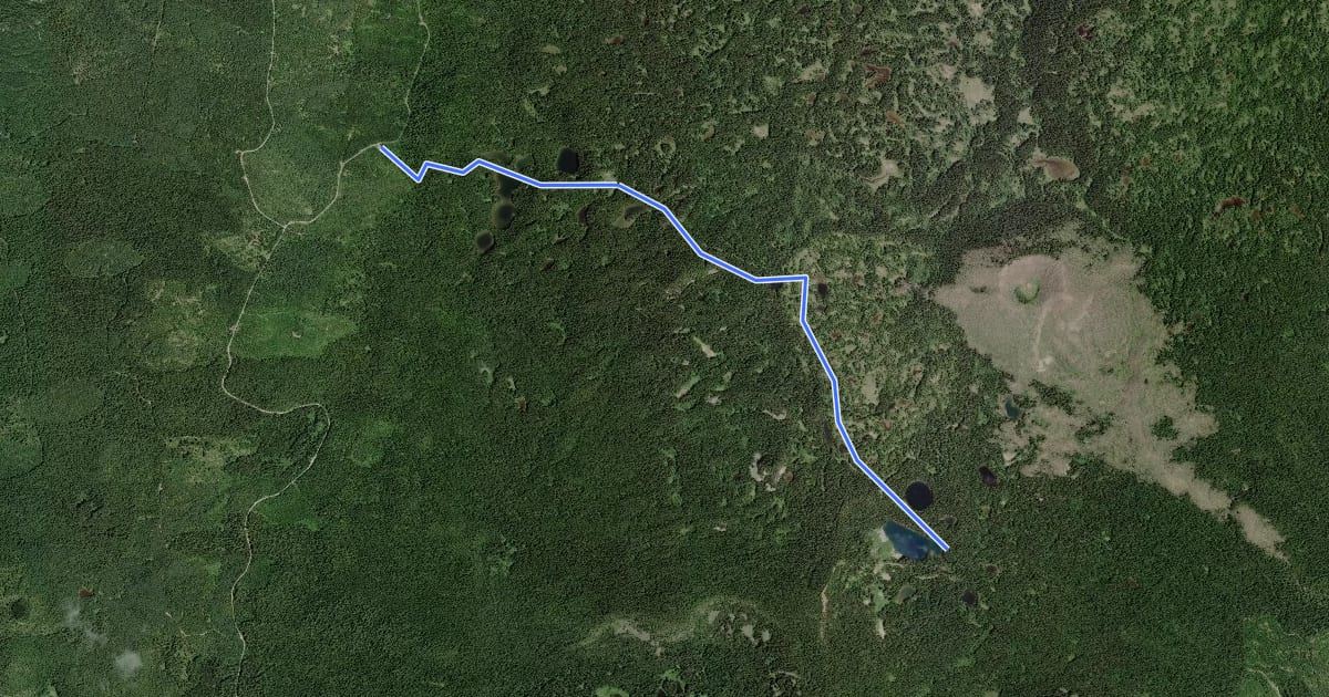 Маршрут Thomas Lake Trail #111 на спутниковом снимке
