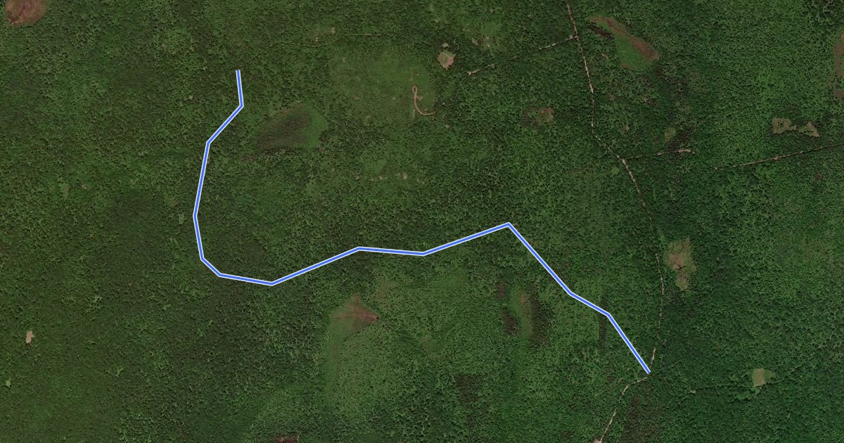 Маршрут Thornhurst - Bear Swamp на спутниковом снимке