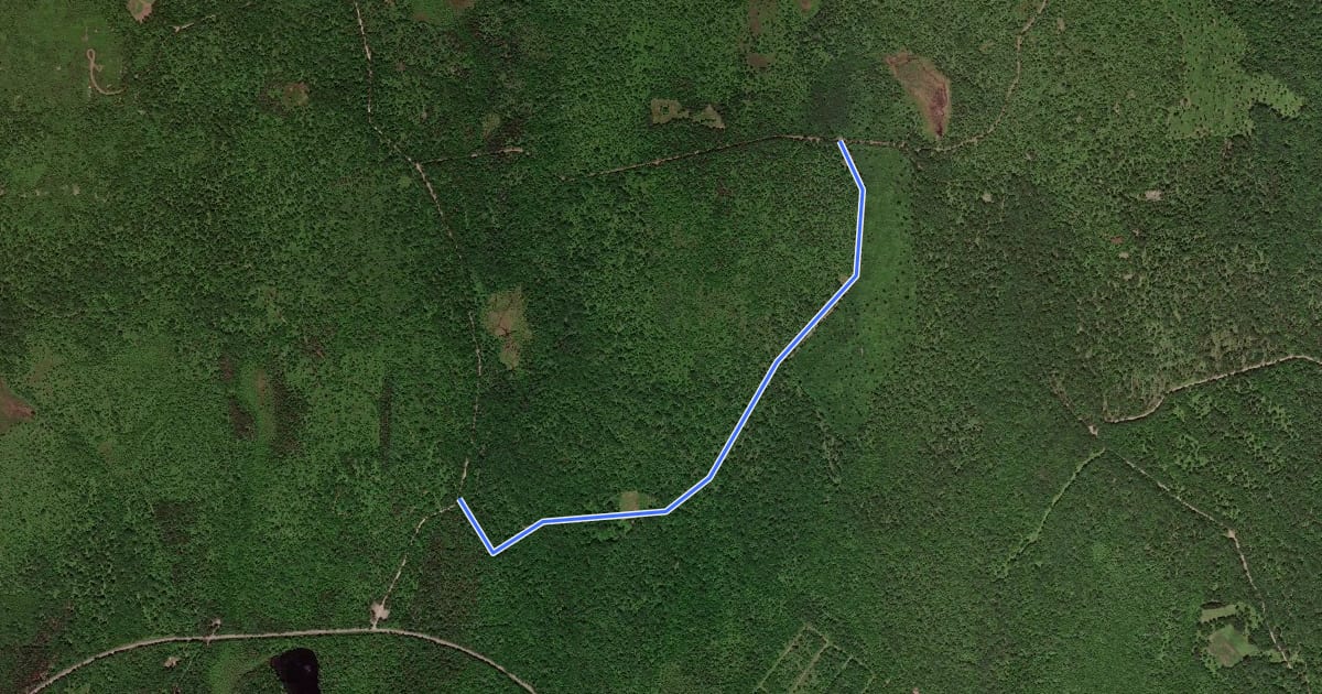 Маршрут Thornhurst - Crossing Trail на спутниковом снимке