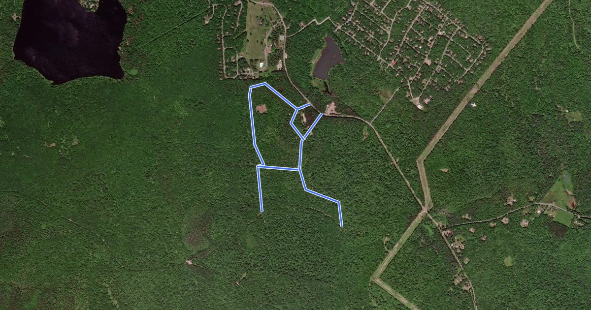 Маршрут Thornhurst Snowmobile Trails на спутниковом снимке