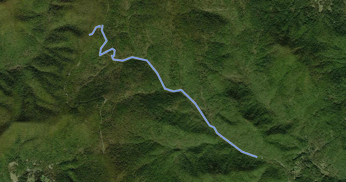Маршрут Thorton River Trail на спутниковом снимке