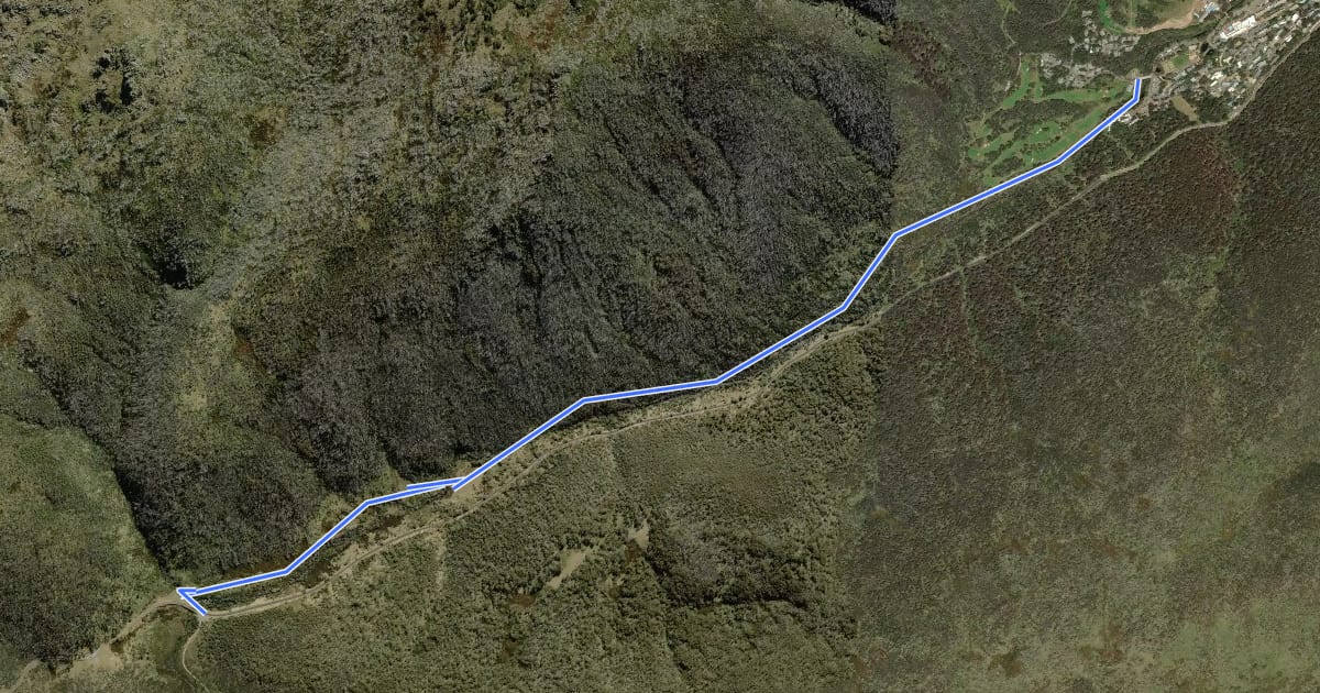 Маршрут Thredbo River Track на спутниковом снимке