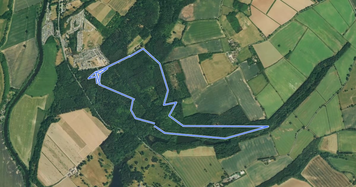 Маршрут Three Pools Walk, Comer Woods, Dudmaston на спутниковом снимке