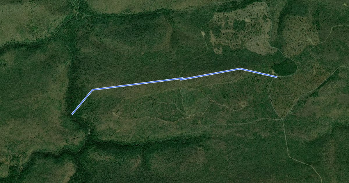 Маршрут Tiadaghton - Webster Trail East на спутниковом снимке