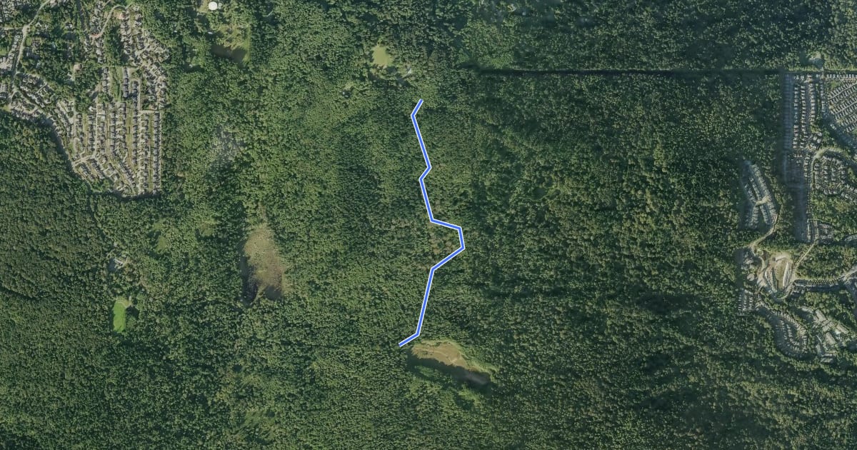 Маршрут Tibbett's Marsh Trail на спутниковом снимке
