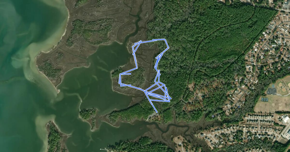 Маршрут Tidelands Trail на спутниковом снимке