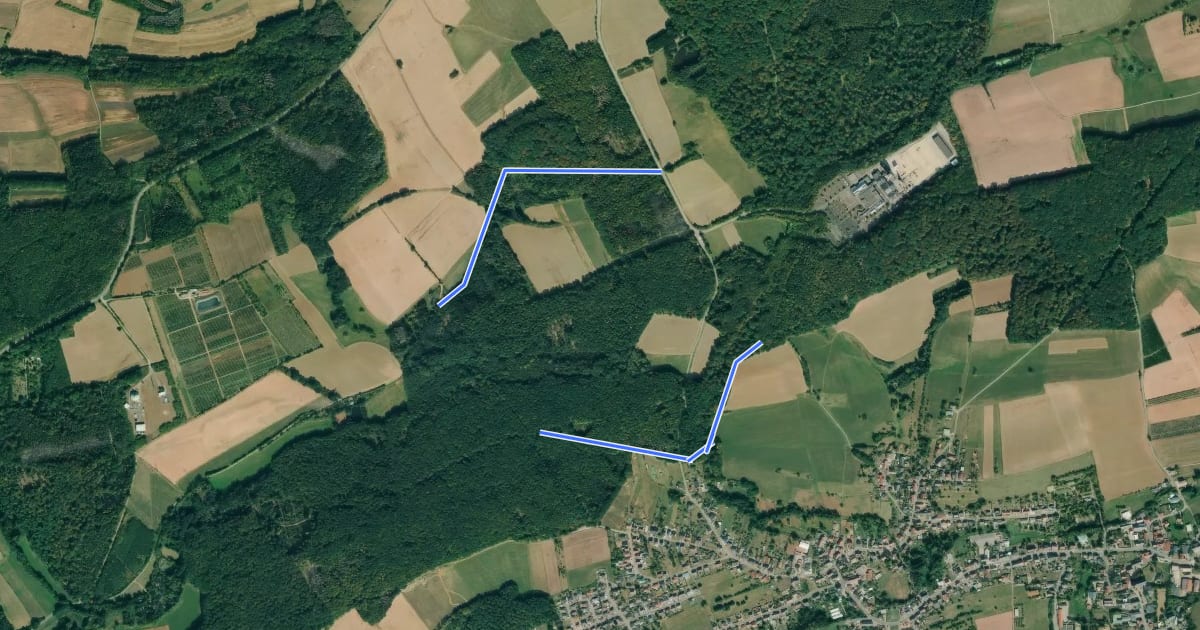 Маршрут Tierkundeweg Reisbach на спутниковом снимке