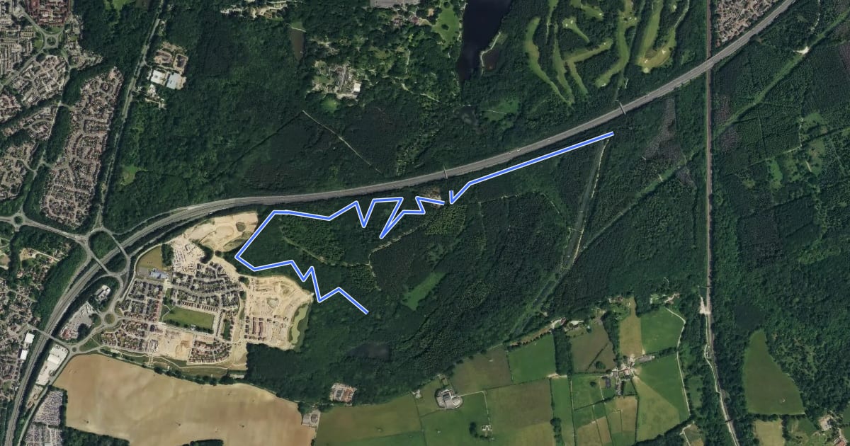 Маршрут Tilgate Forest Singletrack на спутниковом снимке