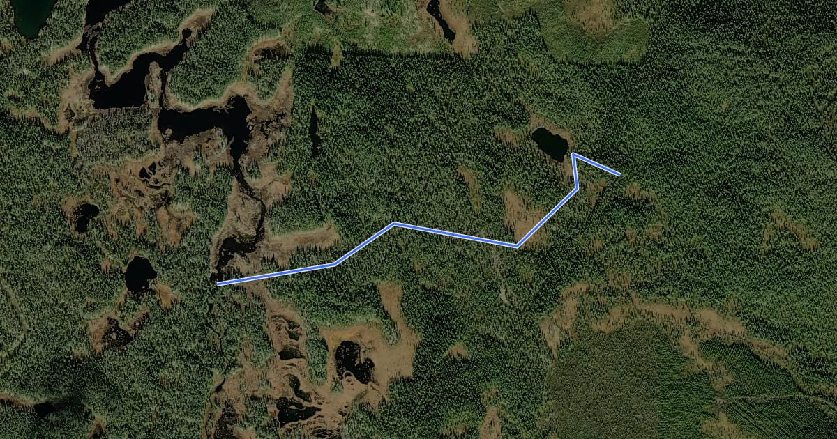Маршрут Till Digerbergslingan -- Till Trubbingslingan на спутниковом снимке