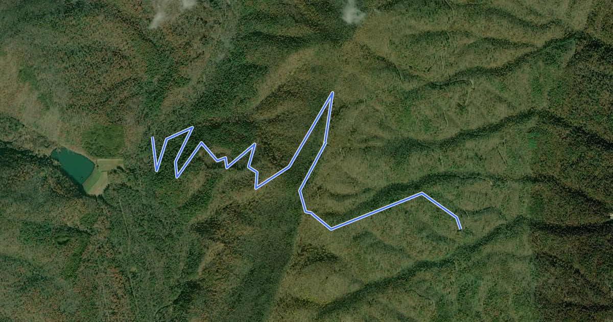 Маршрут Tillman Trail на спутниковом снимке