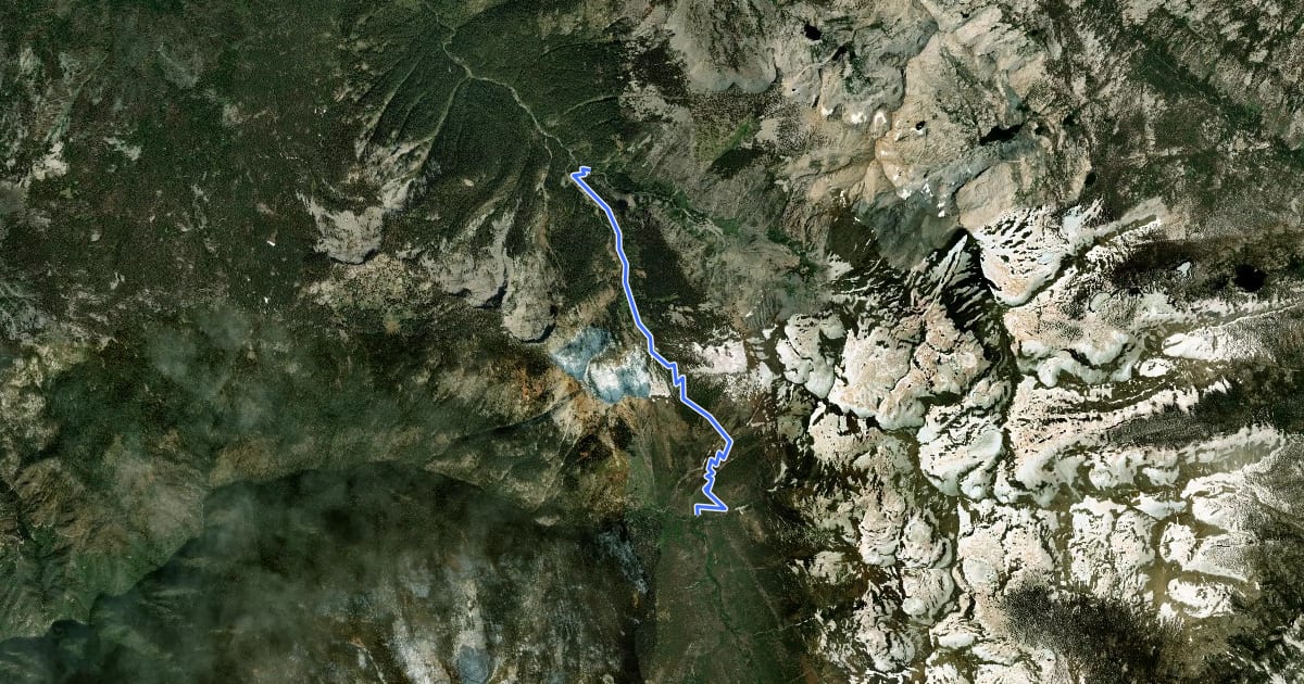 Маршрут Timber Gap Trail на спутниковом снимке