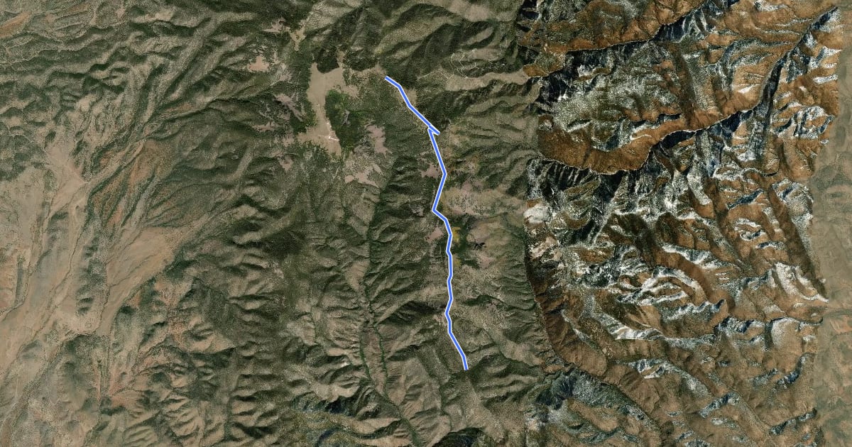 Маршрут Timber Peak Trail на спутниковом снимке