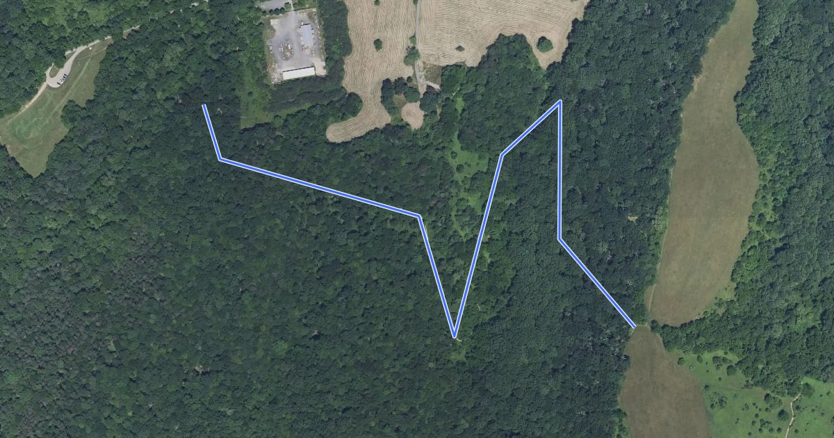 Маршрут Timber Ridge Trail на спутниковом снимке