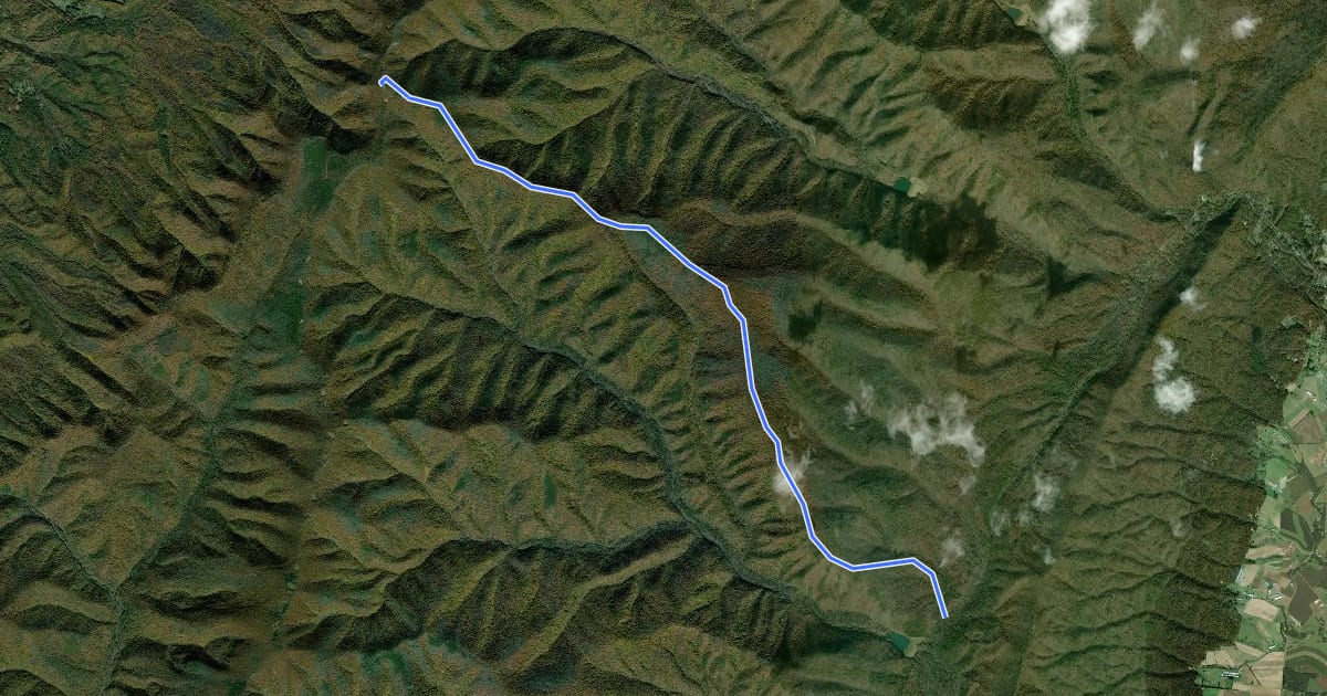 Маршрут Timber Ridge Trail на спутниковом снимке