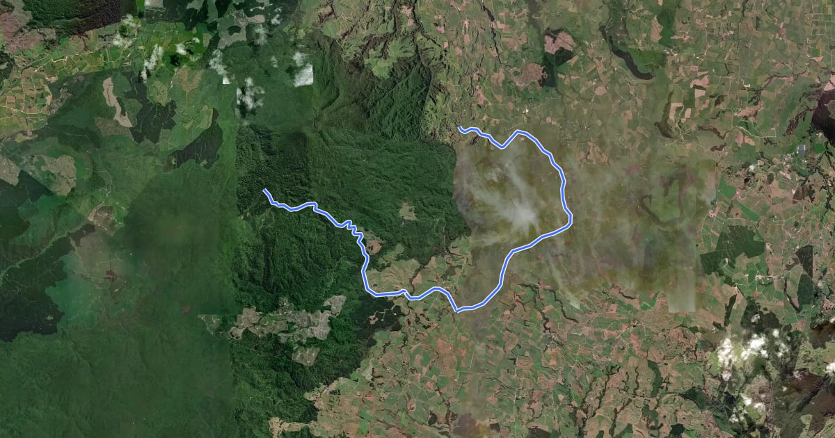 Маршрут Timber Trail Alternative Connection Waikato River TA на спутниковом снимке