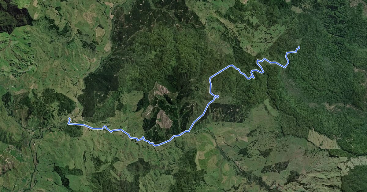 Маршрут Timber Trail - No 10 camp to Ongarue Village на спутниковом снимке