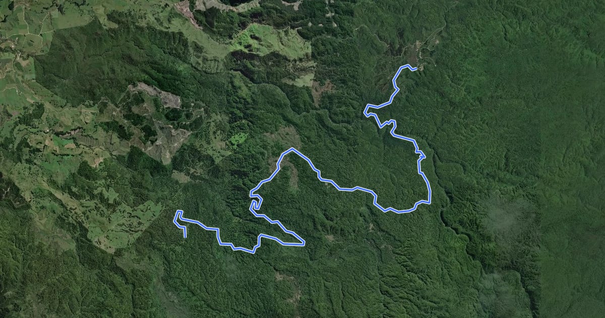 Маршрут Timber Trail - Piropiro to No 10 Camp на спутниковом снимке