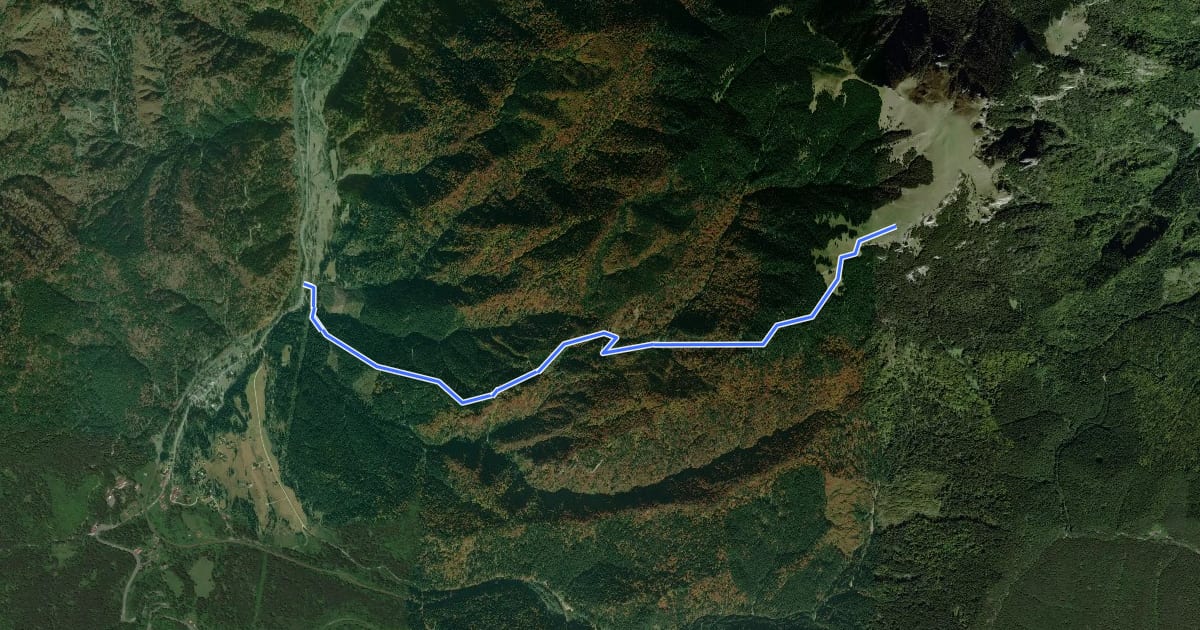 Маршрут Timișu de Sus - Cascada Tamina - Stâna sub Piatra Scrisă на спутниковом снимке