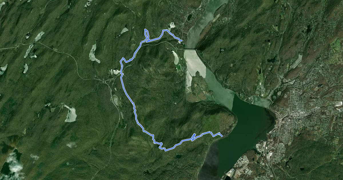 Маршрут Timp Torne Trail на спутниковом снимке