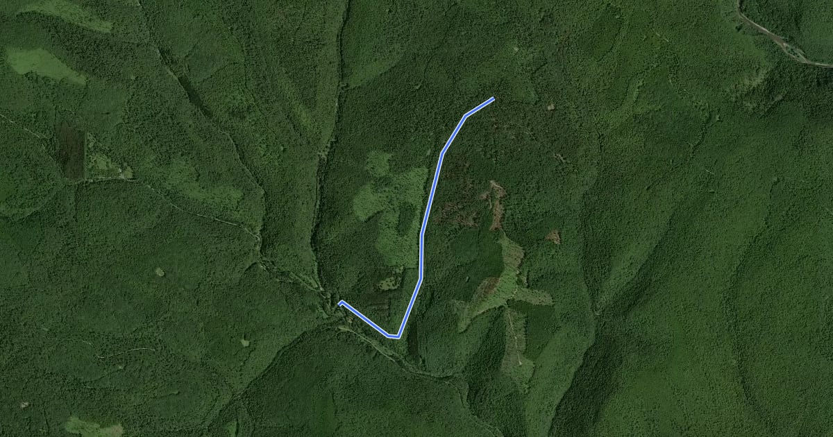 Маршрут Tioga - Big Dam Hollow на спутниковом снимке