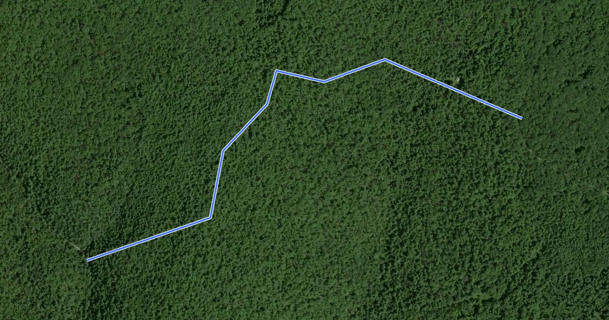 Маршрут Tioga - East Branch Trail на спутниковом снимке