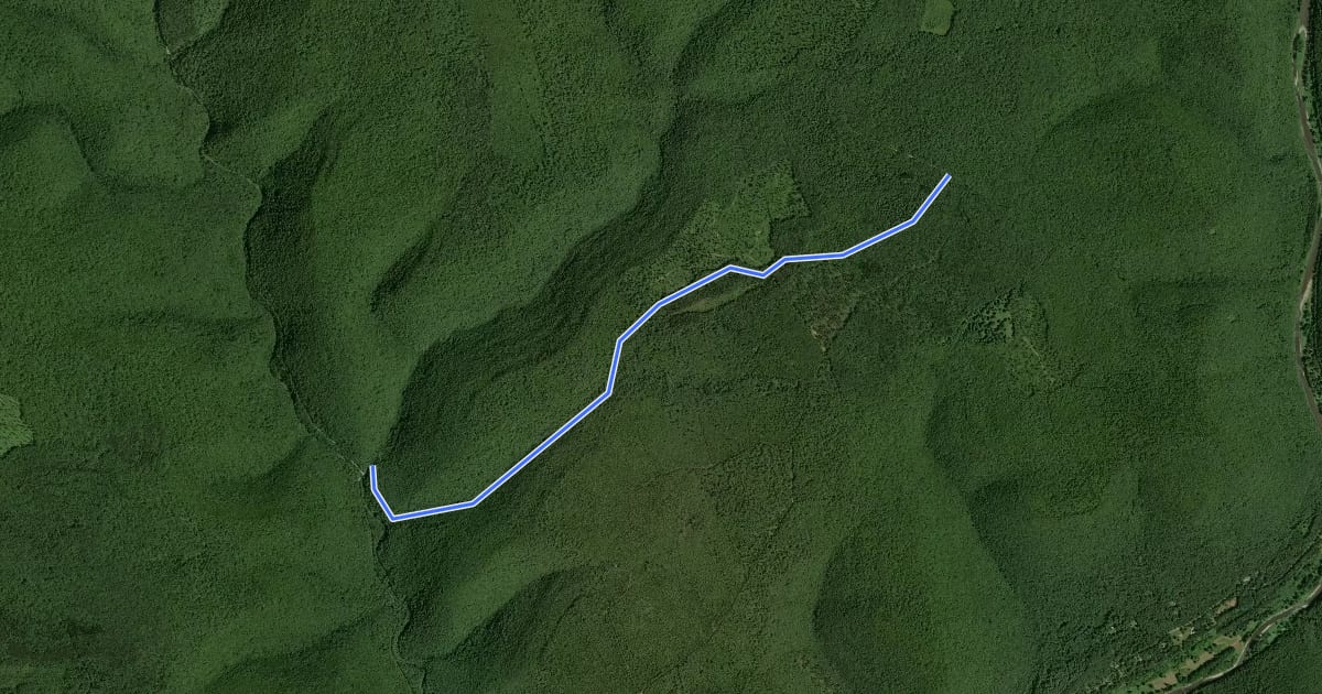 Маршрут Tioga - Long Branch Trail на спутниковом снимке