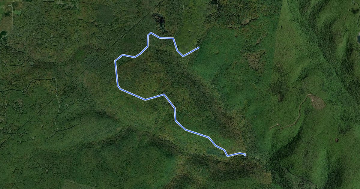 Маршрут Tioga - Middle Ridge на спутниковом снимке