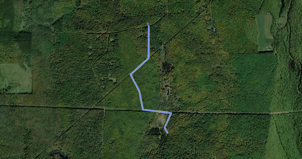 Маршрут Tioga - Quarry Trail на спутниковом снимке