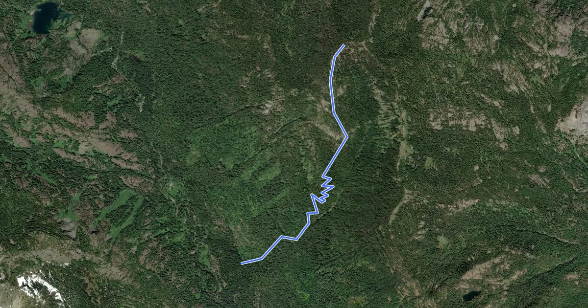 Маршрут Tired Creek Trail на спутниковом снимке