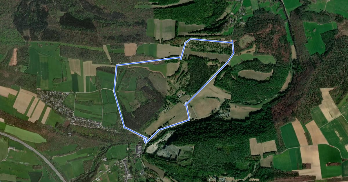 Маршрут TL11 Circuit de la réserve domaniale на спутниковом снимке