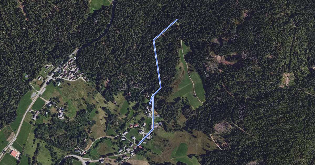 Маршрут Todtmoos-Rütte - Am Farnberg на спутниковом снимке