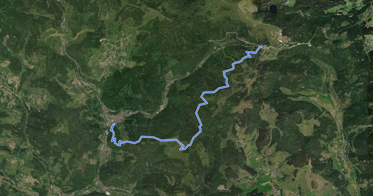 Маршрут Todtnau - Feldbergpass на спутниковом снимке