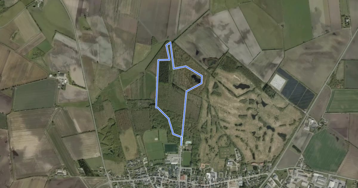 Маршрут Toftlund Skov, gul rute на спутниковом снимке