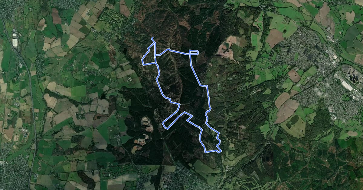Маршрут Tolkien Trail Cannock Chase Walk на спутниковом снимке