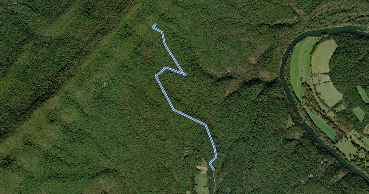 Маршрут Tolliver Trail на спутниковом снимке