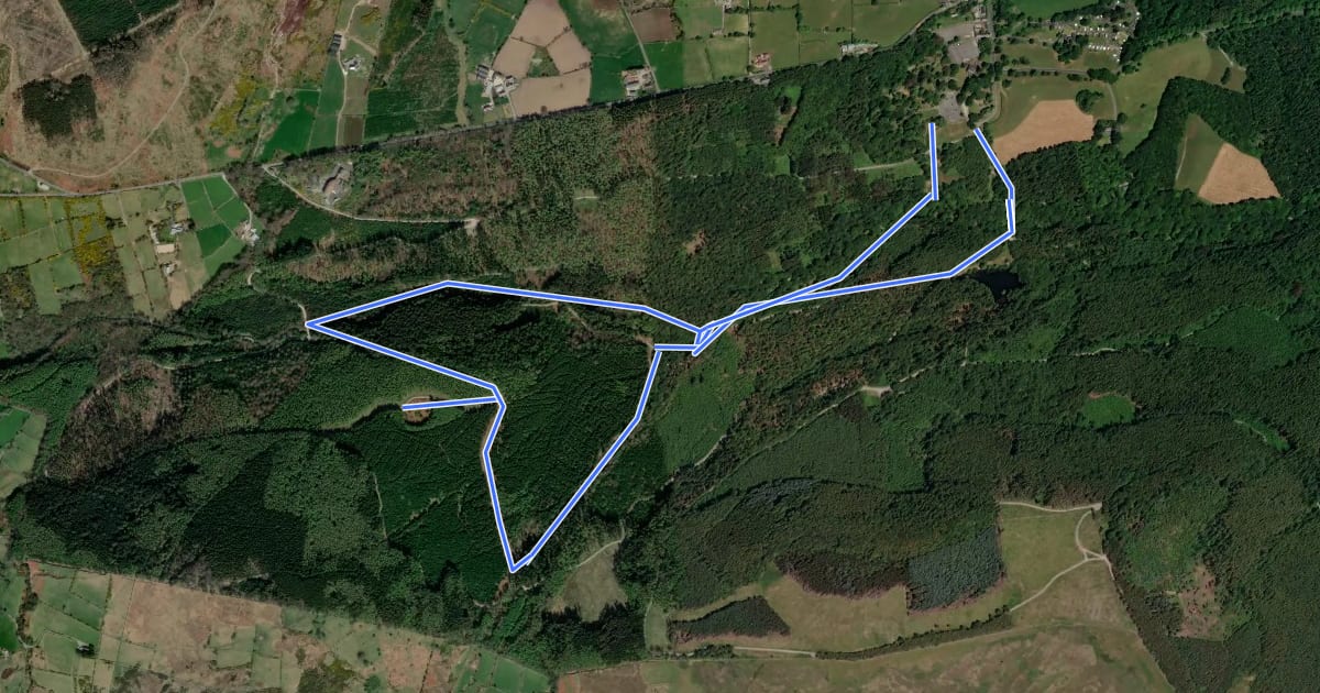 Маршрут Tollymore Forest - River Trail на спутниковом снимке