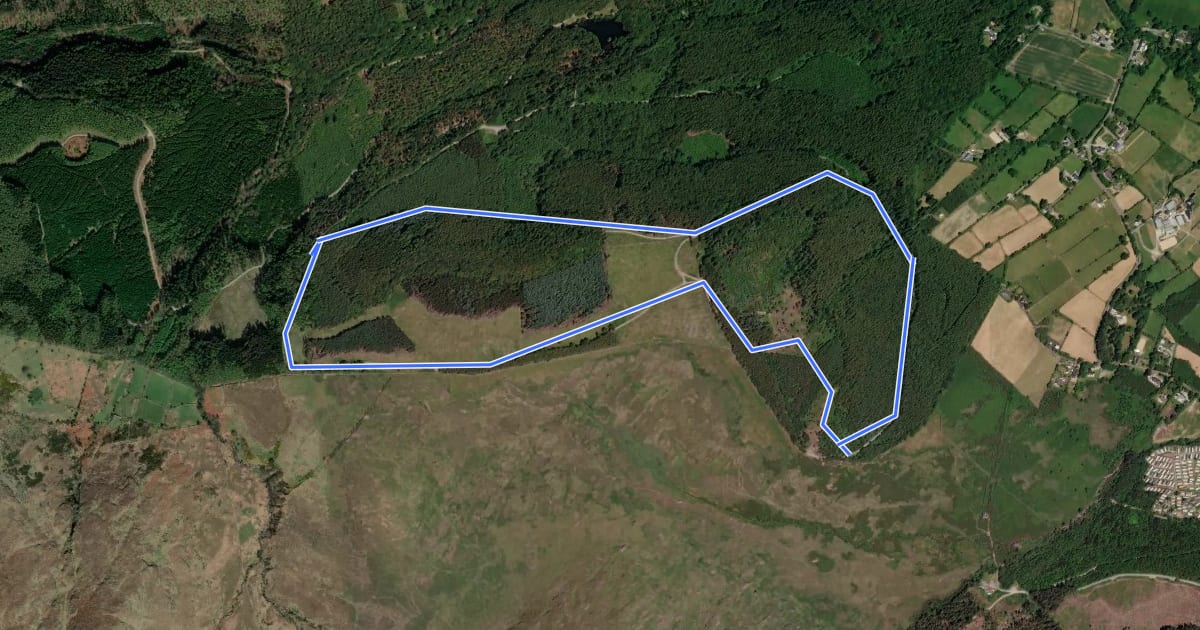 Маршрут Tollymore Forest - The Drinns Trail на спутниковом снимке