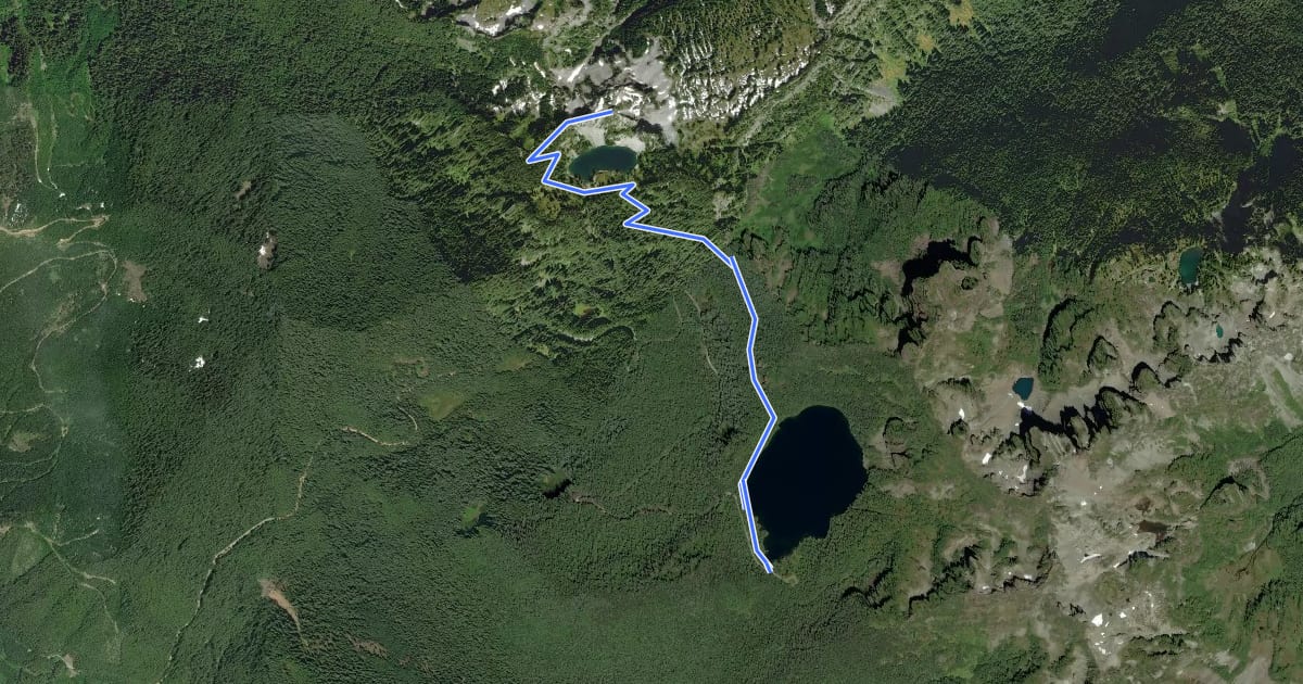 Маршрут Tolmie Peak Trail на спутниковом снимке