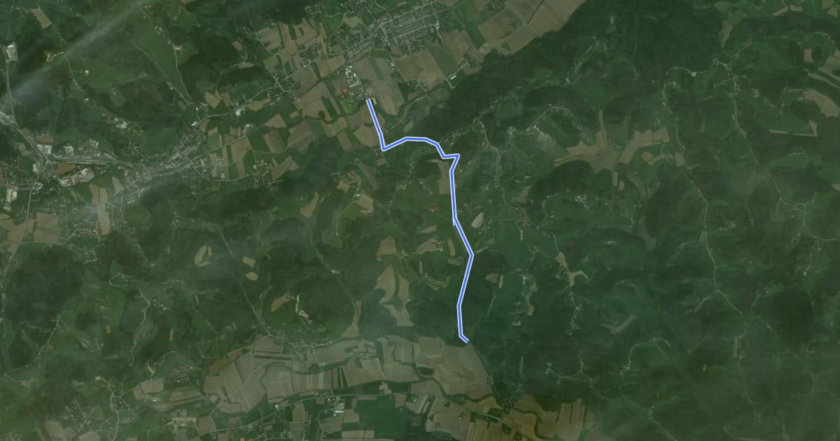 Маршрут Tombachradweg на спутниковом снимке
