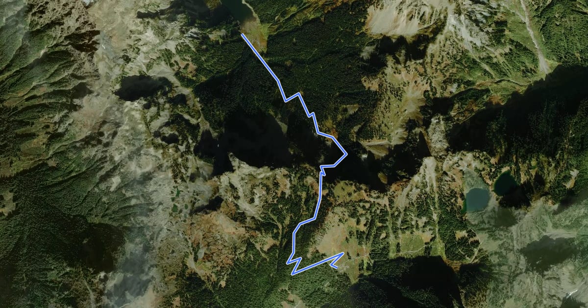 Маршрут Tomyhoi Lake Trail на спутниковом снимке