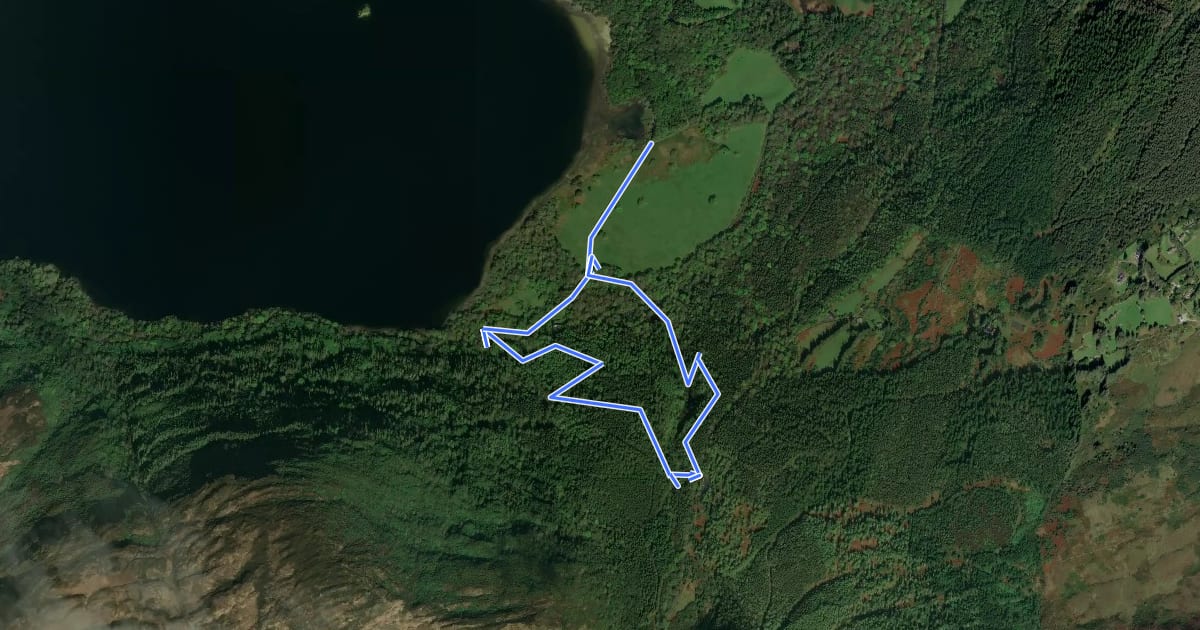 Маршрут Torc Yellow Trail на спутниковом снимке
