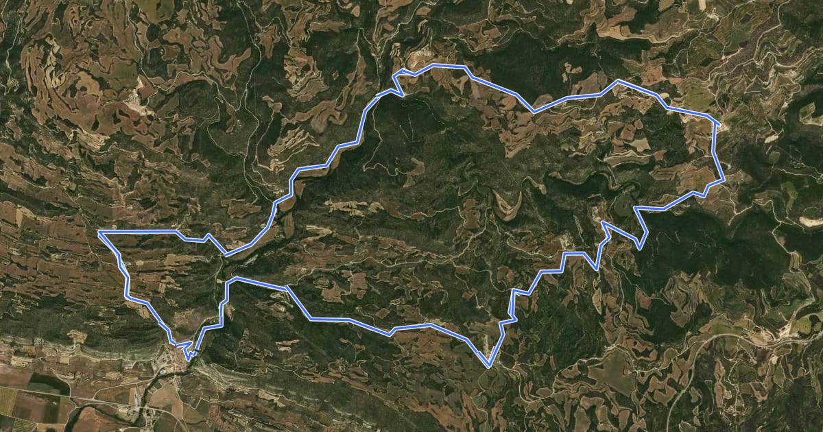 Маршрут Torres de guaita de la Segarra на спутниковом снимке