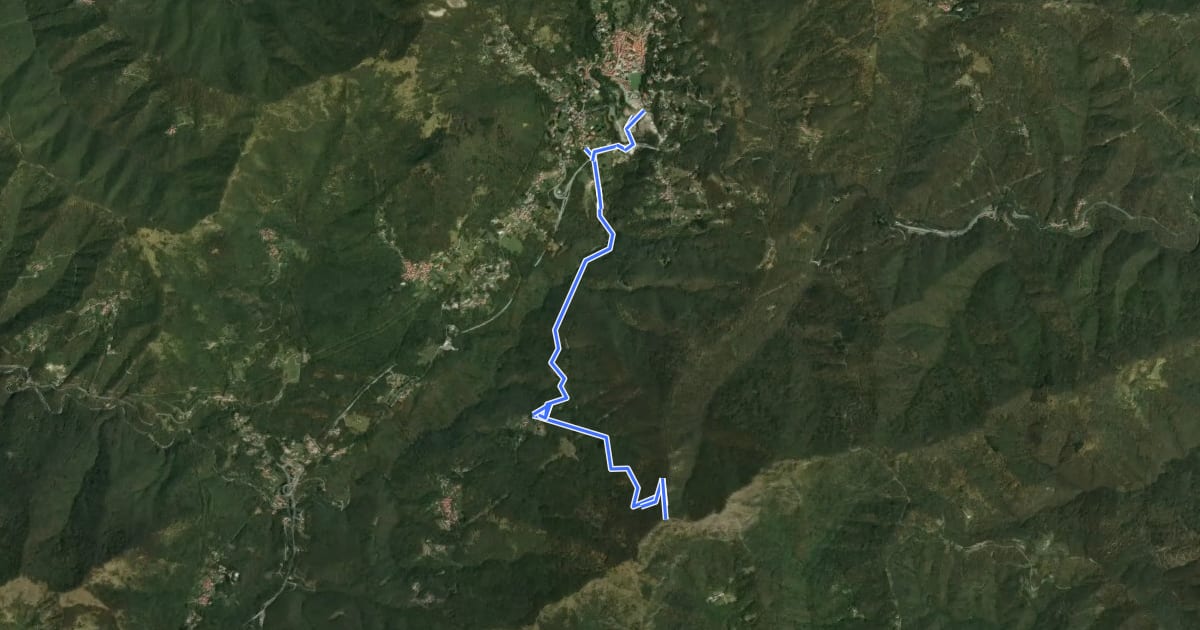 Маршрут Torriglia (Centro Equestre) - Pian Selvaggio - Obbi - Pendici Monte Lavagnola на спутниковом снимке