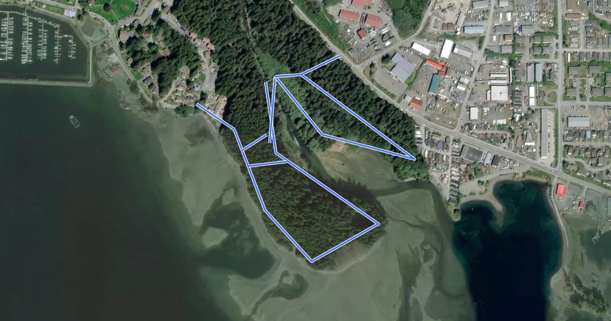 Маршрут Totem Park Trail на спутниковом снимке