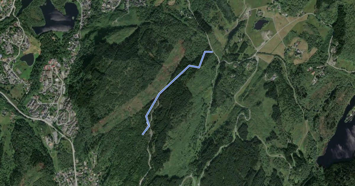 Маршрут Totlandsvegen - Ljosvollsvarden - Vallaheiane на спутниковом снимке
