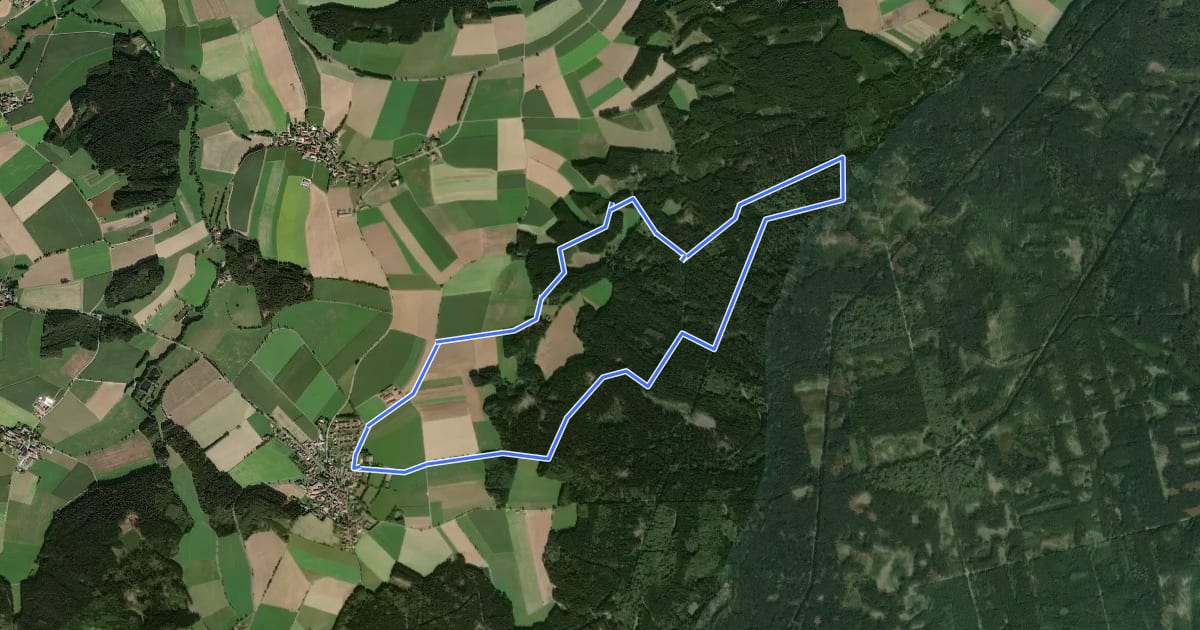 Маршрут Tour 2 Griesbach на спутниковом снимке