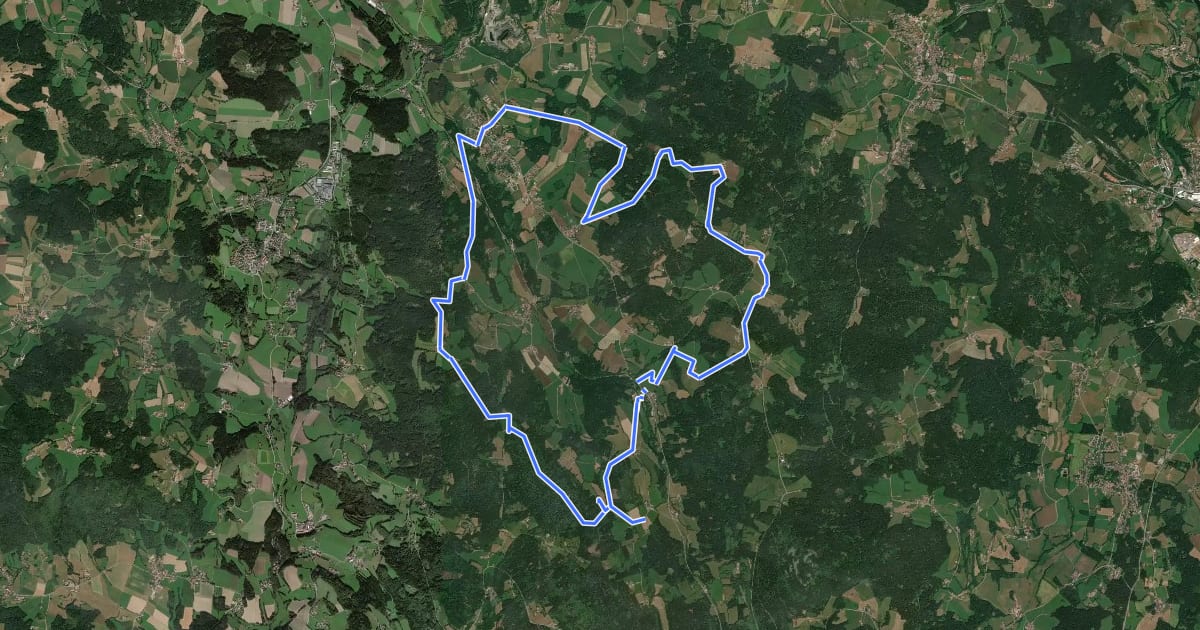 Маршрут Tour 51 - Zellerhöhe–Zierling на спутниковом снимке