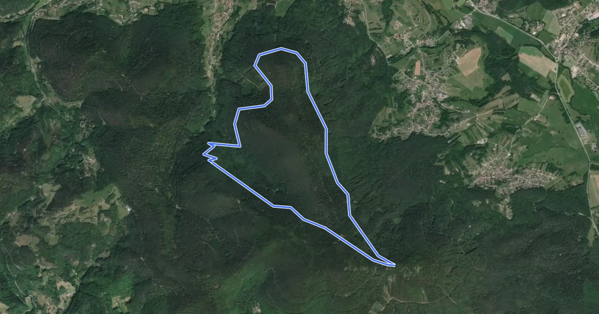 Маршрут Tour de l’Altenberg на спутниковом снимке